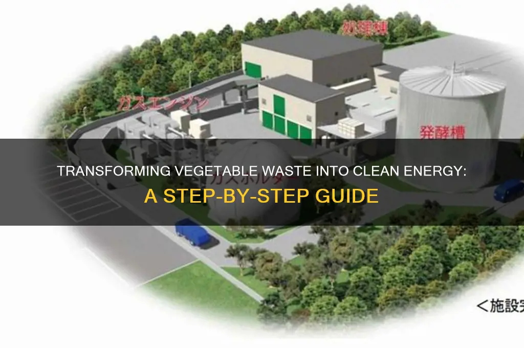 Cracking the Code: Vegetable Matter Energy Crossword Solution